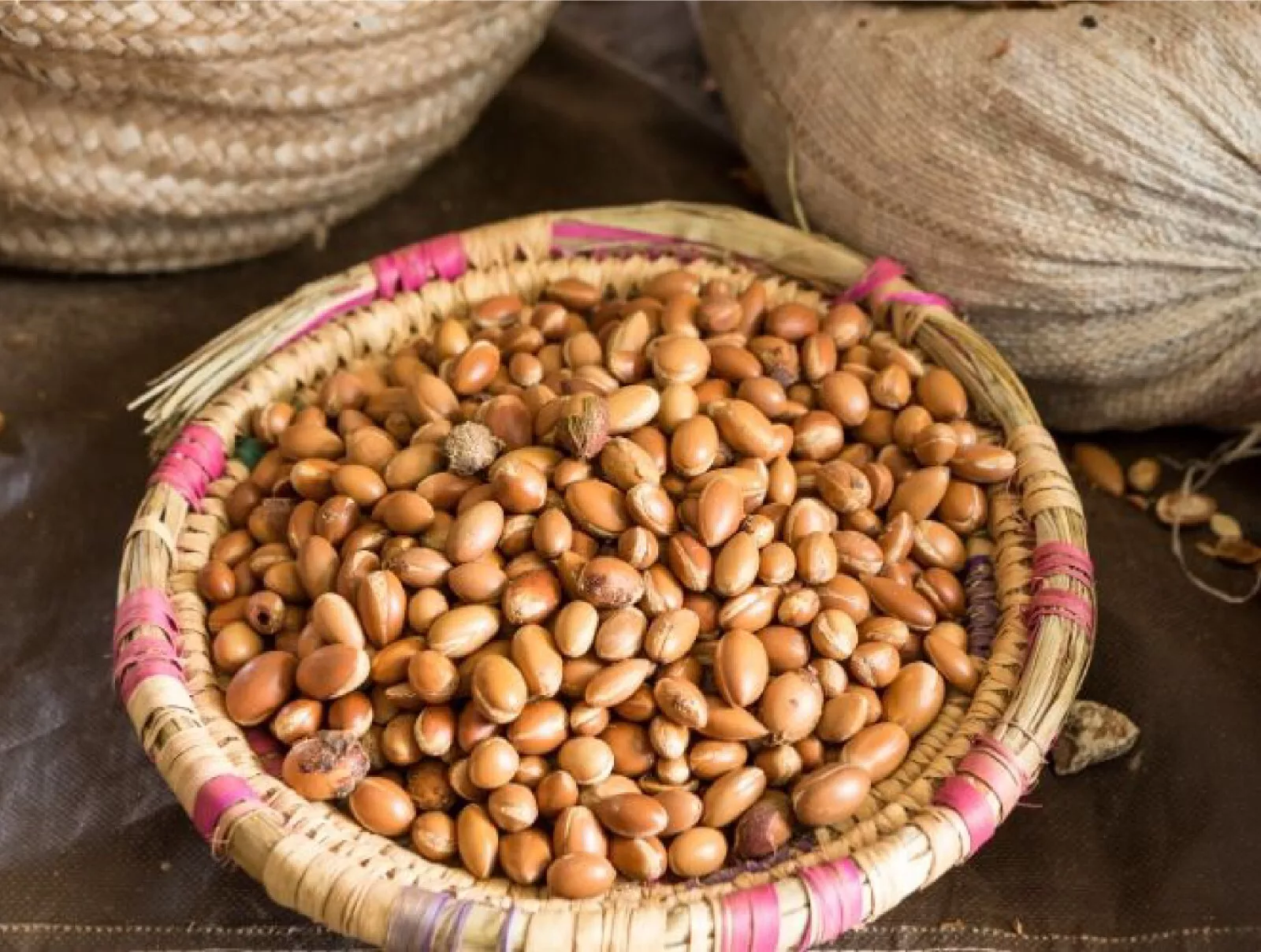 Argan nut