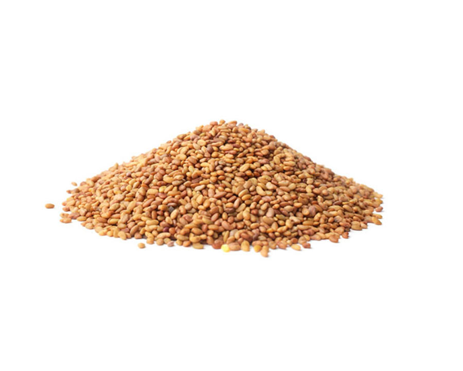 Australian Alfalfa Seeds