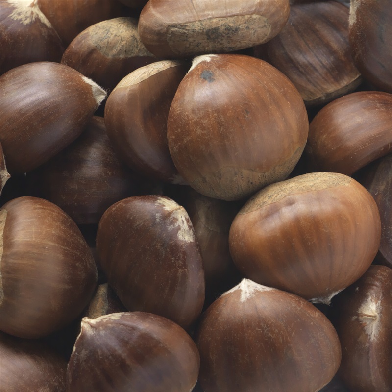 chestnuts