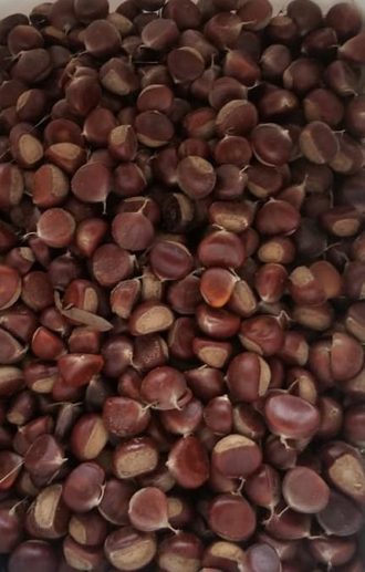Chinese Chestnuts