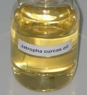 Jatropha Oil