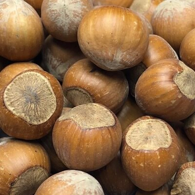 Filberts (In Shell) per lb