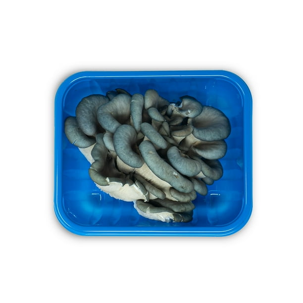 Fresh Oyster Mushrooms, 3.5 oz