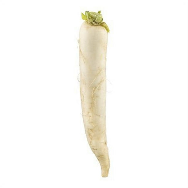 Fresh Radish White Daikon