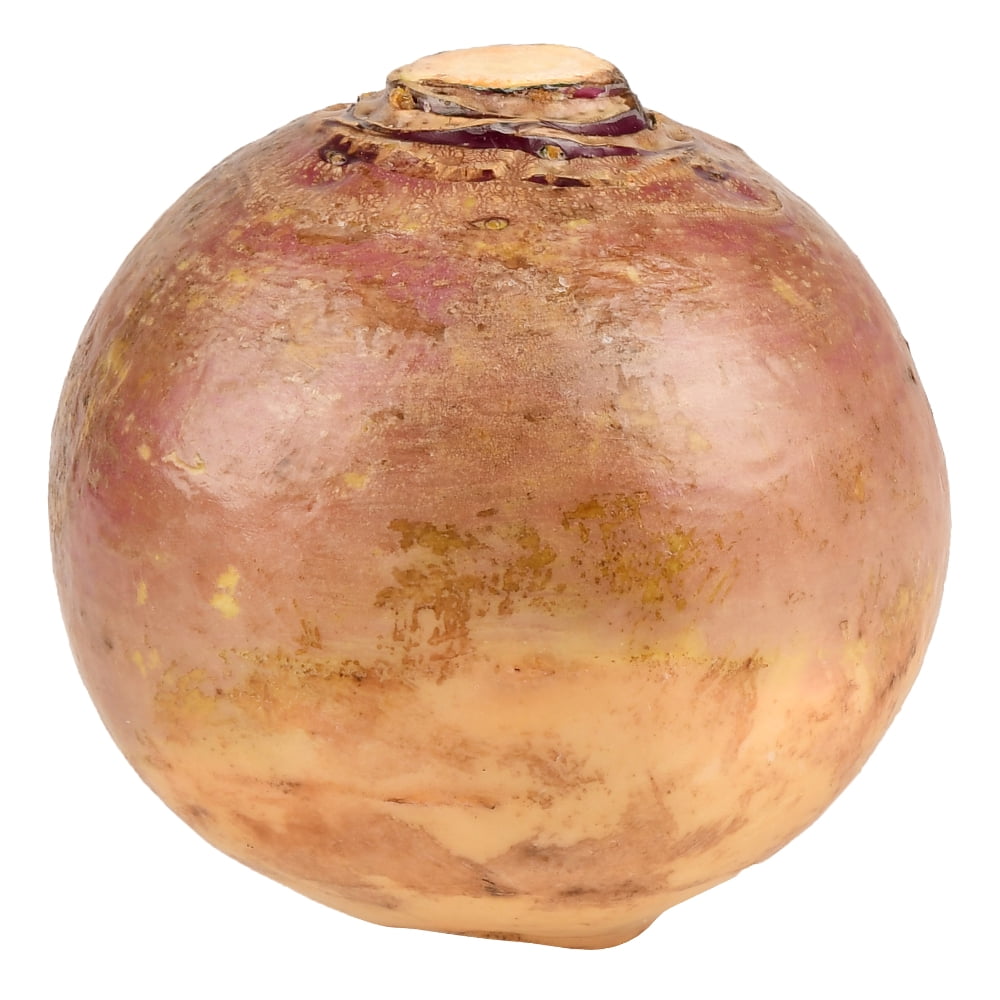 Fresh Rutabagas, Each