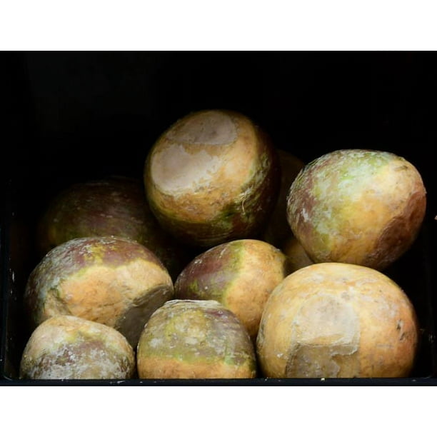 Fresh Rutabagas, Each