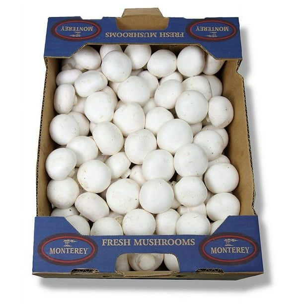Fresh Whole White Mushrooms, Bulk