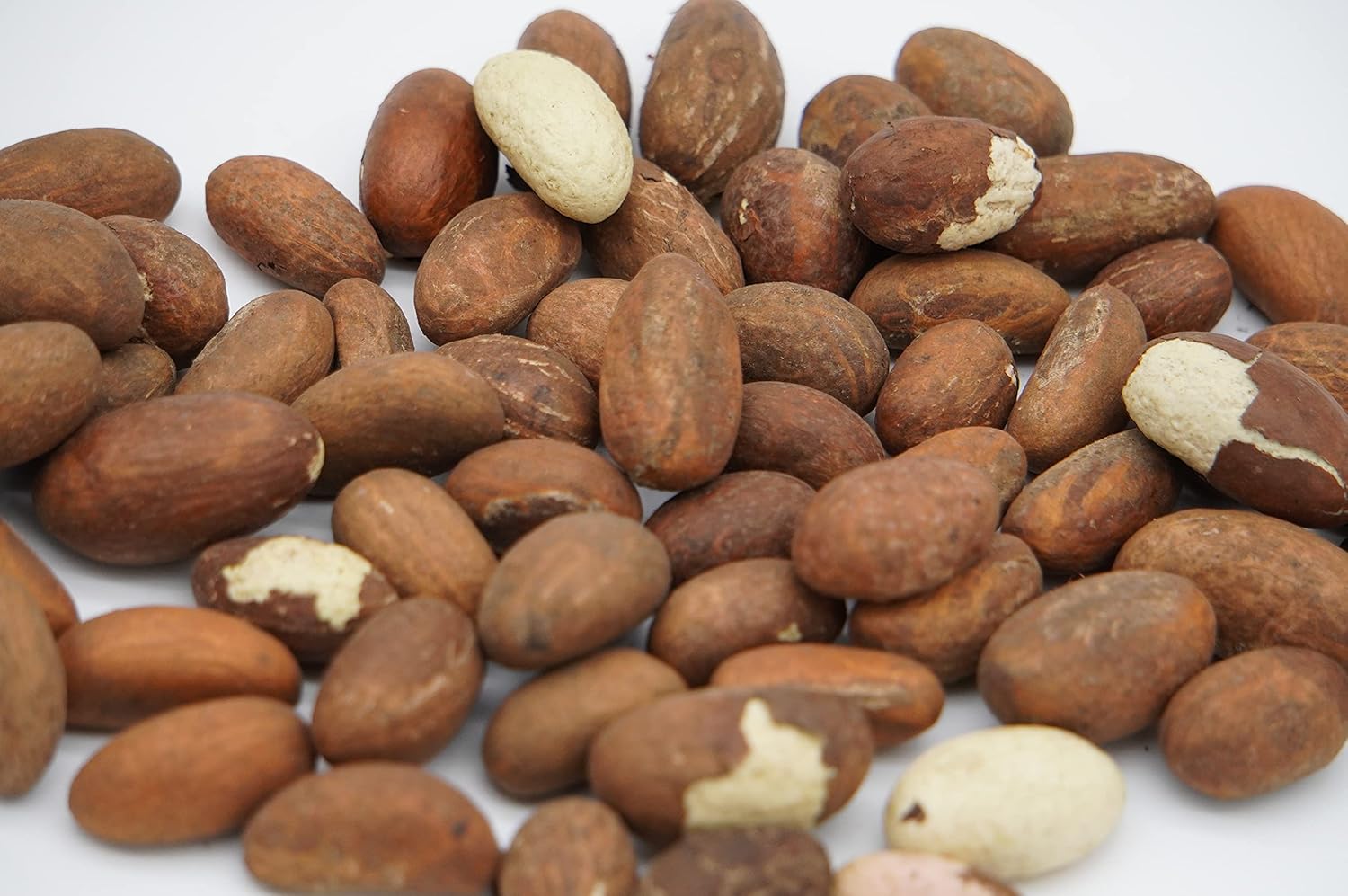 Kola Nuts