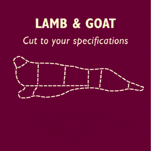 Lamb Half