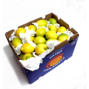 Lemons Export Quality Big Box 15kg