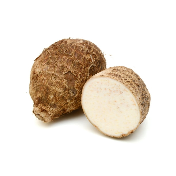 Malanga Root Whole Fresh, Each (Malanga)