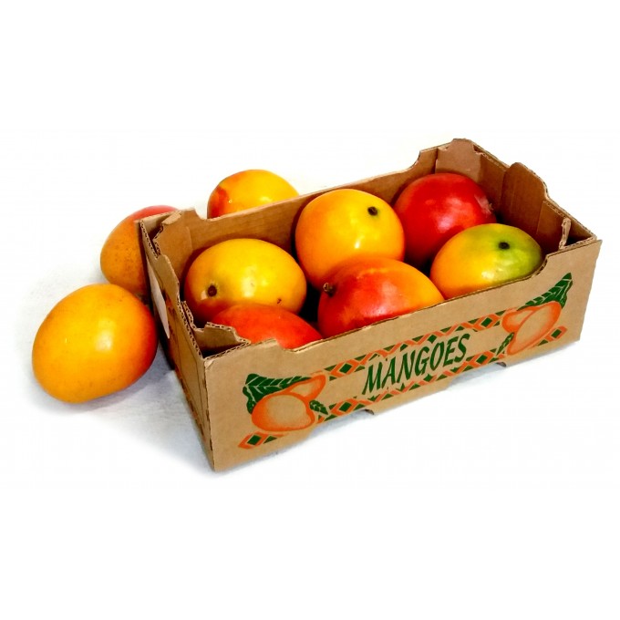 Mangoes MINI BX C6