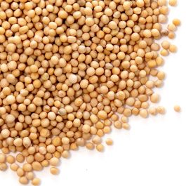 Mustard Seeds, Yellow