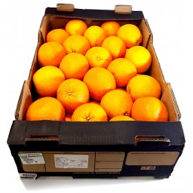 Oranges Valencia Bulk Box 15Kg