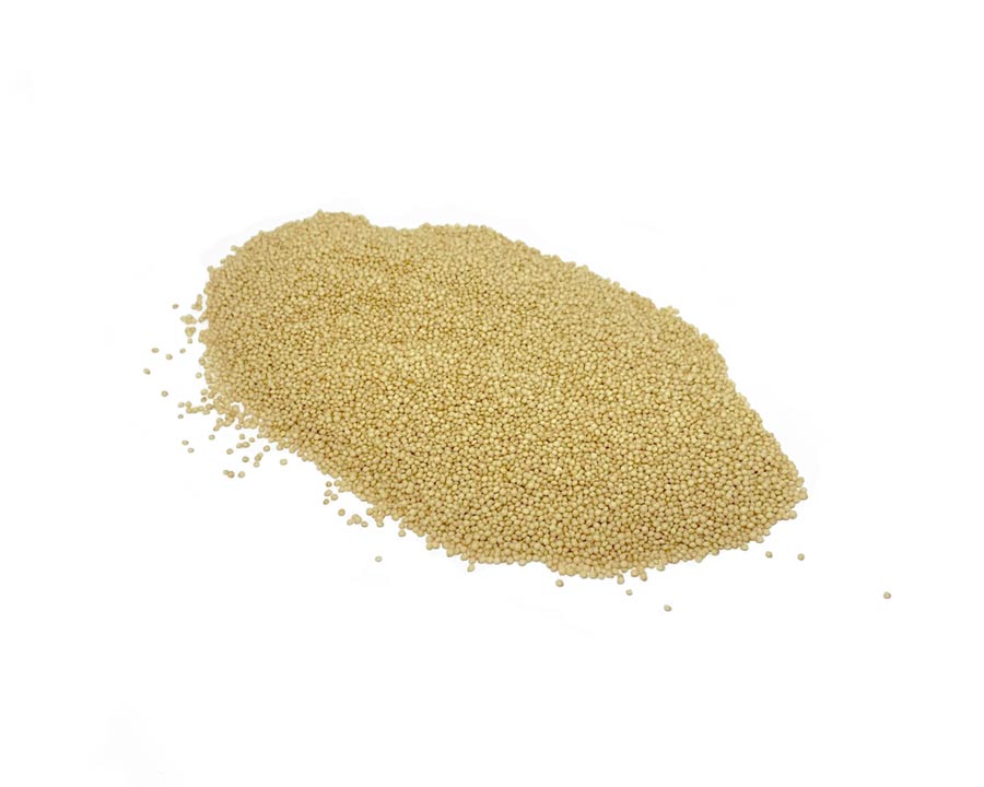 Organic Amaranth Grain