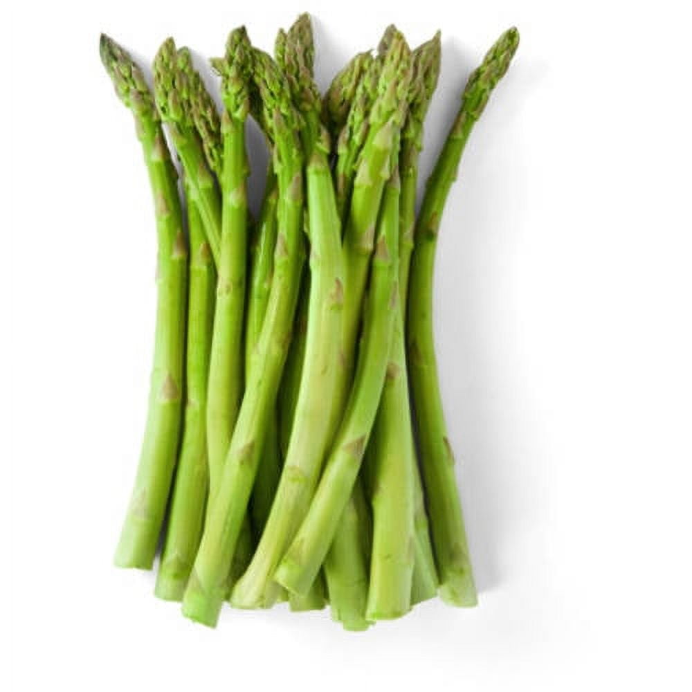 Organic Asparagus freshly harvested, cut and refrigerated, Bunch