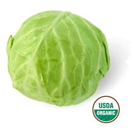 Organic Fresh Green Cabbage, Each