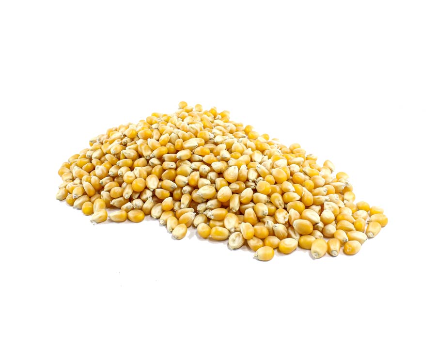 Organic Popping Corn