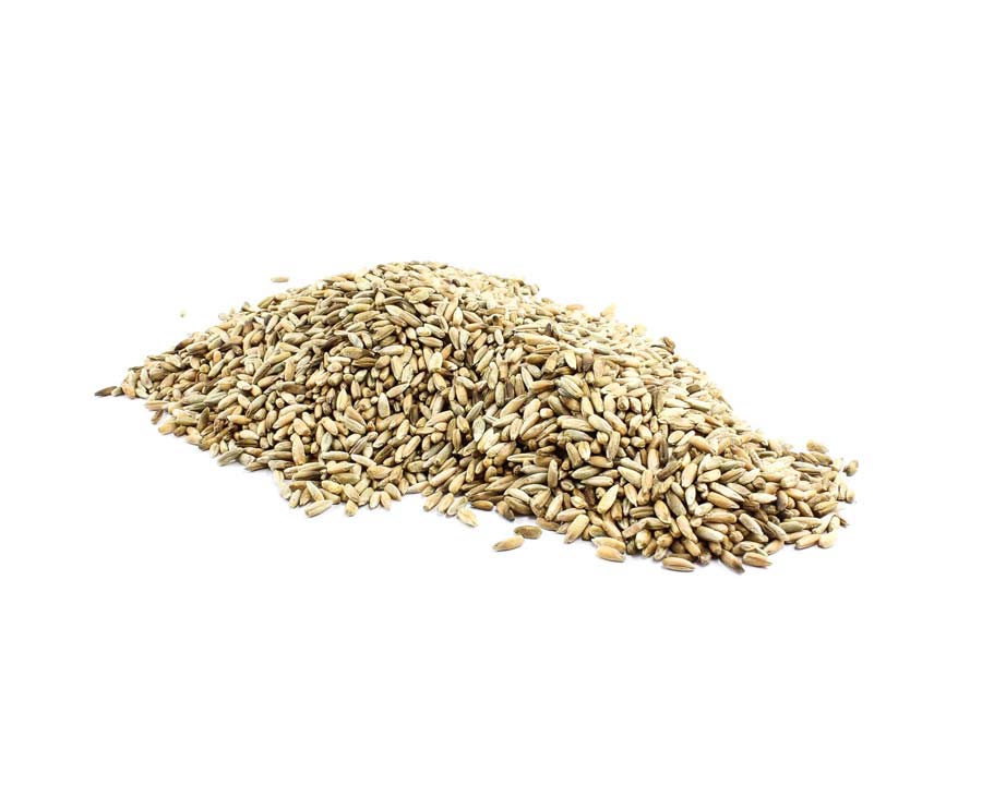 Organic Rye Grain