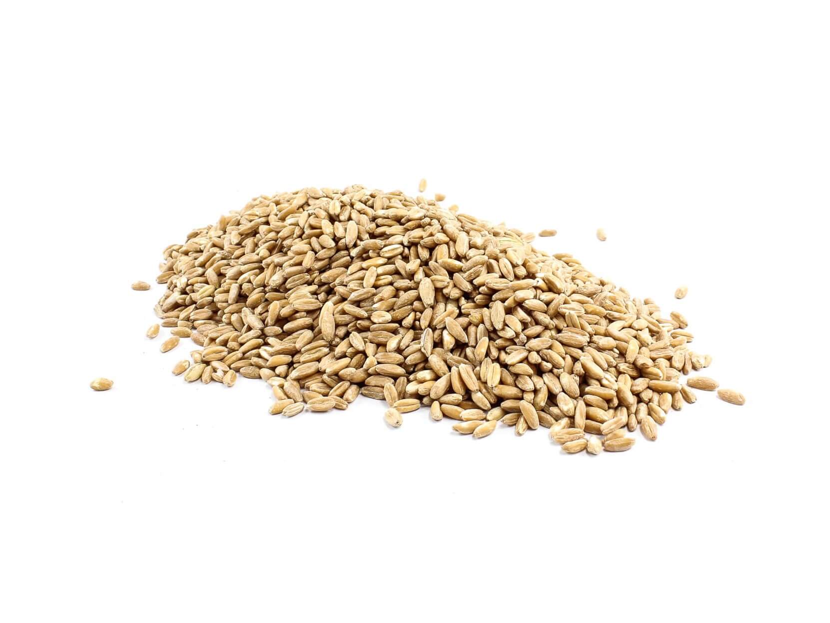 Organic Spelt Grain