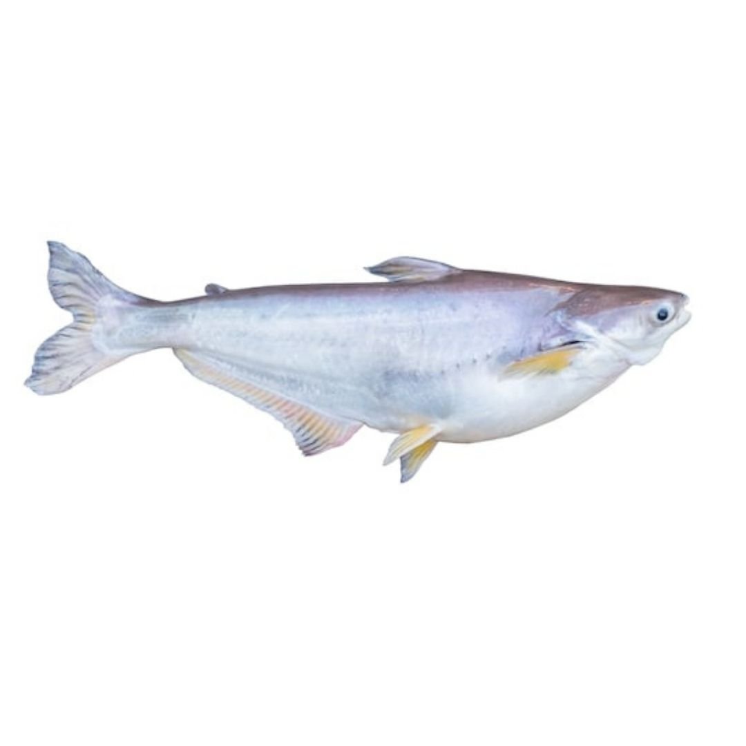 Pangasius Whole Fish &#8211; Pangasius Fish &#8211; eFoods Direct