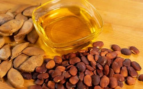 Pongamia Oil