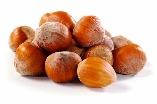 Raw In Shell Filberts/Hazelnuts