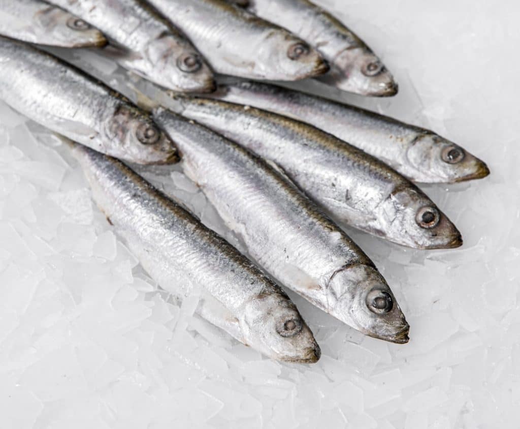 Sardines 1kg