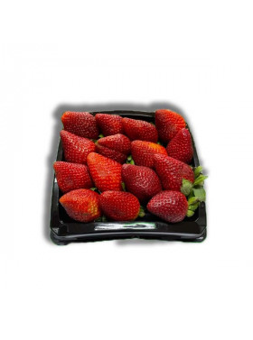 Strawberry Field Punnet 400g