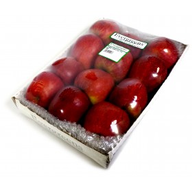 True Cape Top Red Giants x15 TF1 Tray