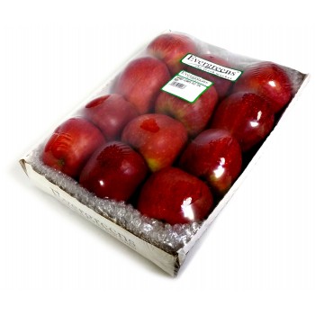 True Cape Top Red Giants x15 TF1 Tray
