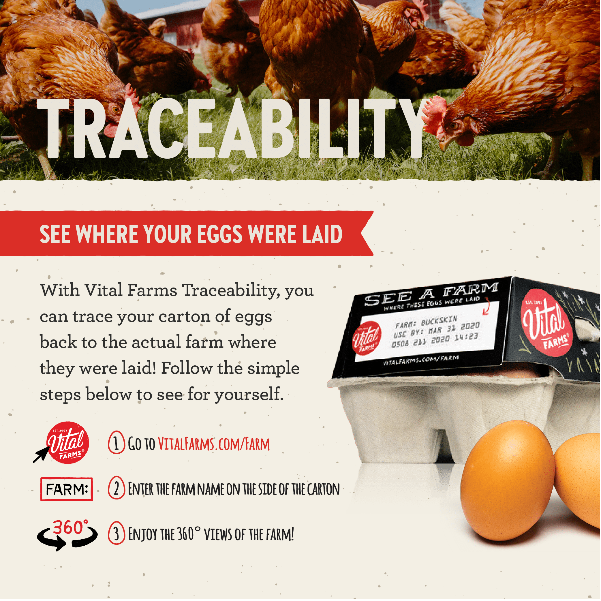 Vital Farms Pasture Raised Grade A Large Brown Eggs, 12 Count
