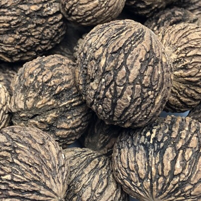 Walnuts, Black (In Shell) per lb