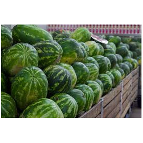Watermelon Each