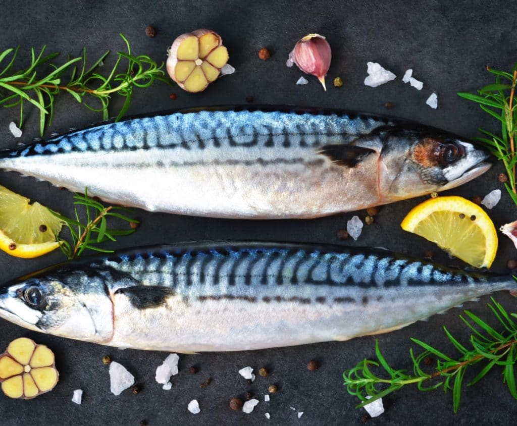 Whole Mackerel 2 Extra Large