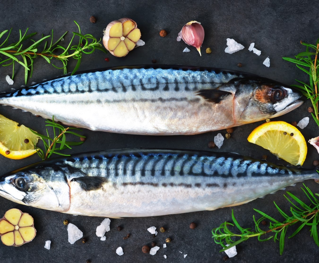 Whole Mackerel 2 Extra Large