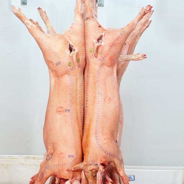 Whole pork &#038; Half pork