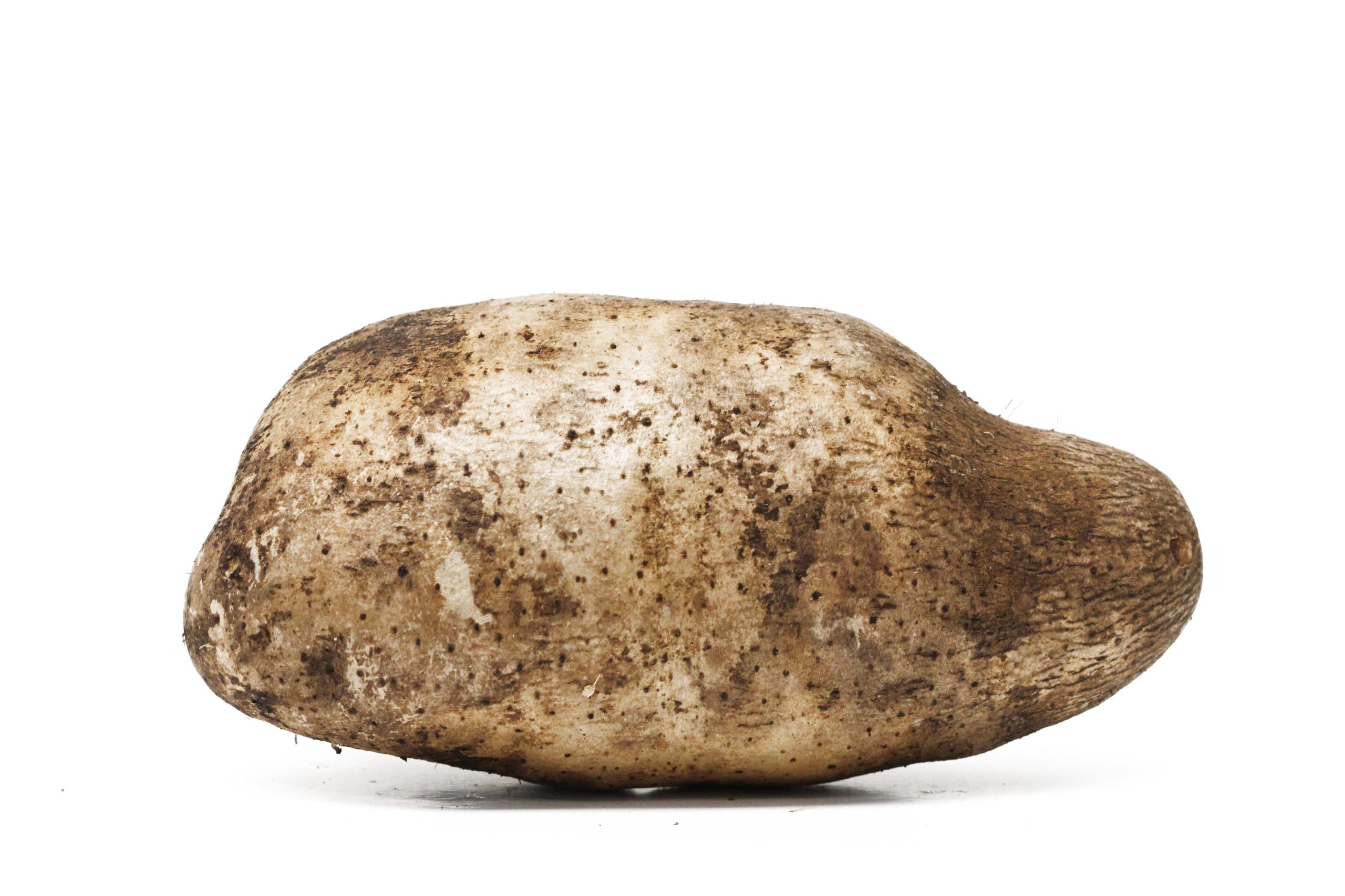 Yam Root Whole Fresh, Each (Name Florido)